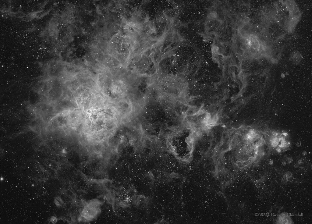 CDK--Tarantula-Ha_Mosaic-202011