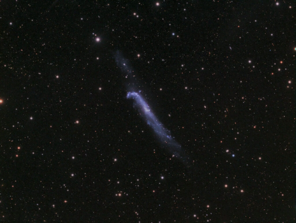 NGC_4656-LRGB-202001