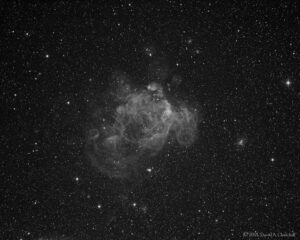 CDK-NGC2018-Ha-202102