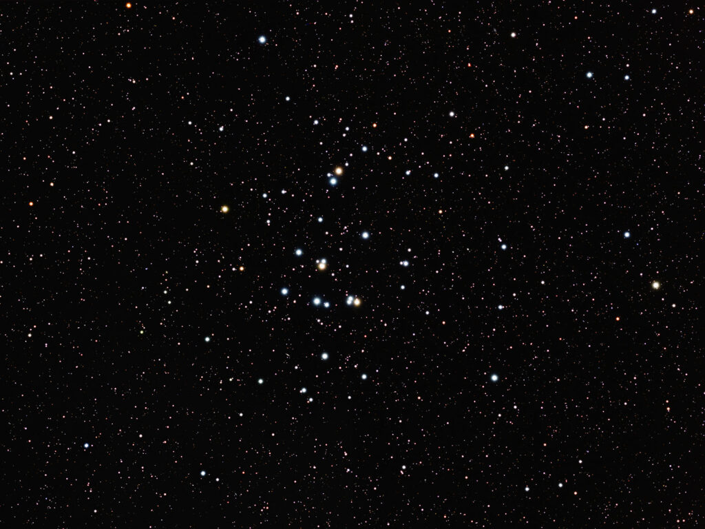 M44-RGB-201903