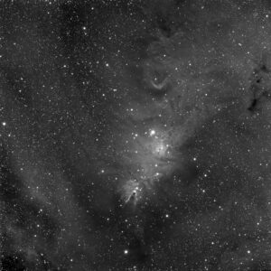 NGC2264-Ha_201403