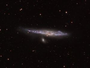 NGC4631-LRGB-201906