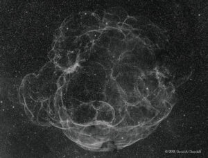 Simeis147-Ha_202011