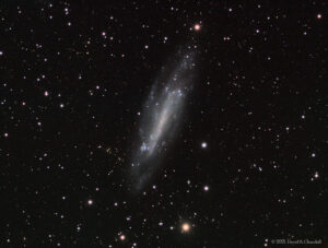NGC4236-LRGB-202105