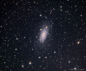 CDK-NGC3621-LRGB-202106-crop