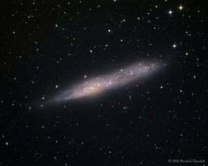 CDK-NGC55-LRGB-202108