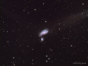 NGC4490-LRGB-202107