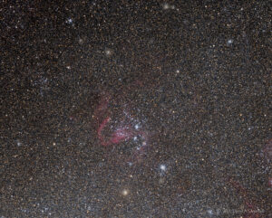 CDK-NGC1910-LRGB-202112