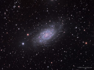 NGC2403-LRGB-202112