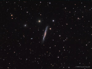 NGC3079-LRGB-202203