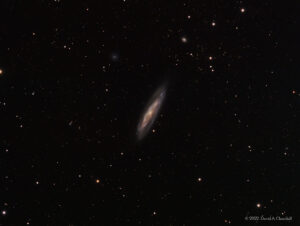 M98-LRGB-202205