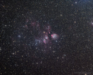 CDK-NGC456-LRGB-202208