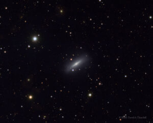 NGC5866-LRGB-202209-crop