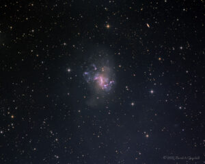 CDK-NGC1313-LRGB-202210
