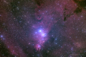 EDF-NGC2264-LRGB-202301-a