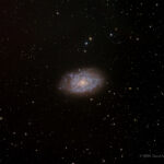 CDK-NGC7793-LRGB-202409