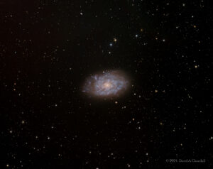 CDK-NGC7793-LRGB-202409