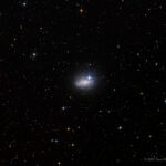 CDK-IC5152-LRGB-202510