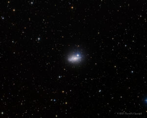 CDK-IC5152-LRGB-202510