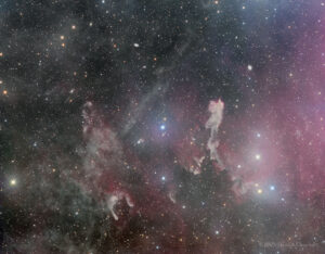 DR350-LBN438-LRGB-202510