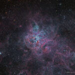 CDK-NGC2070-LRGB-202101-R2026