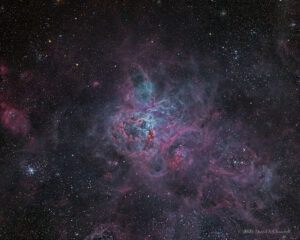 CDK-NGC2070-LRGB-202101-R2026