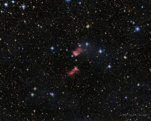 CDK-RCW24-LRGB-202602