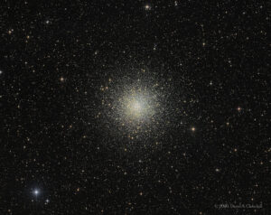 CDK-M10-LRGB-202604