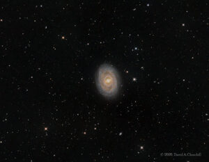 DR350-M95-LRGB-202604